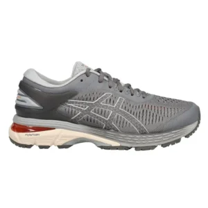Gel-Kayano 25